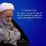 آلبوم تصاویر حضرت آیت الله العظمی بهجت ره  (346/460)